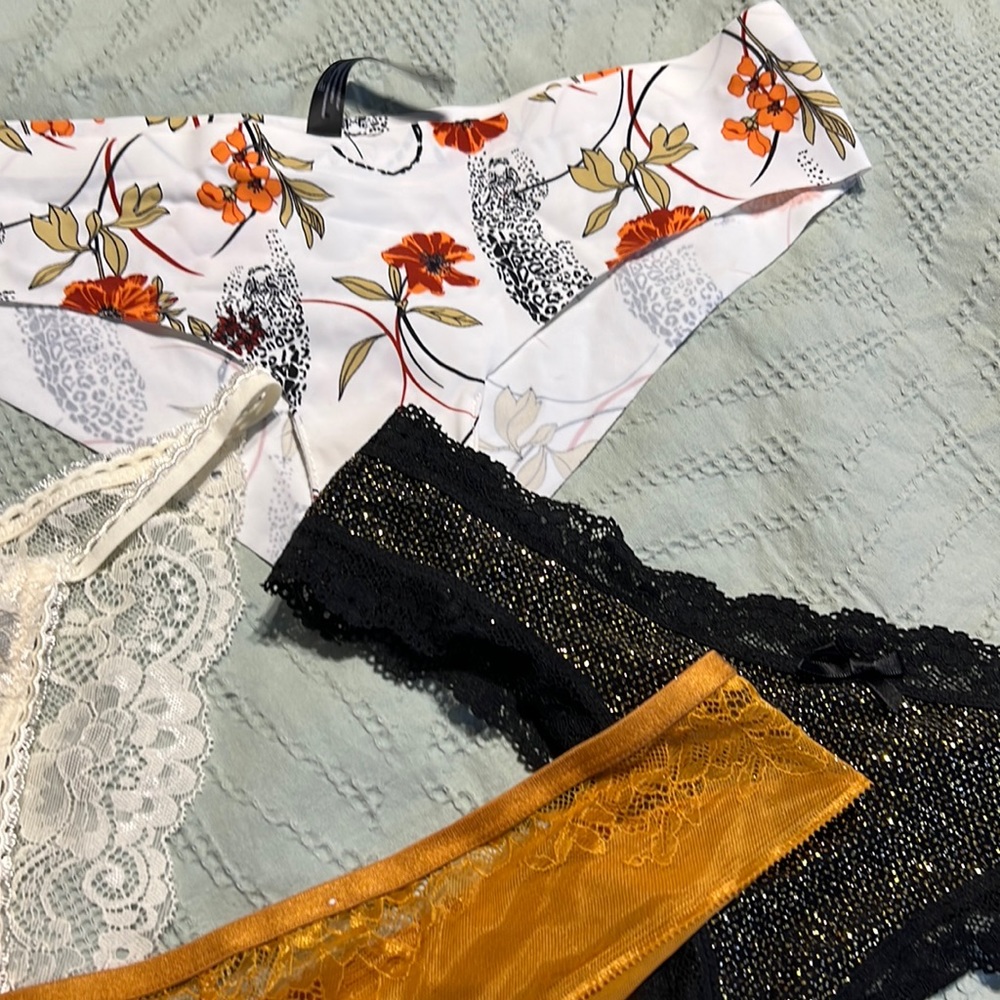 ✨LAST CHANCE✨ Super Cute NWOT Lace and Seamless Panty Bundle!!